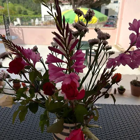 Mae Story Caldas Da Rainha