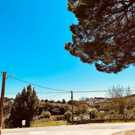 Mae Story Caldas Da Rainha