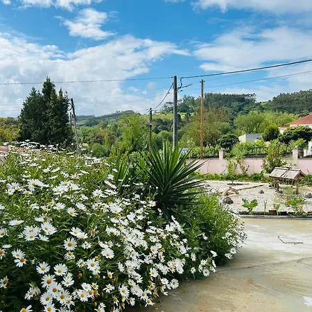 Mae Story Caldas Da Rainha