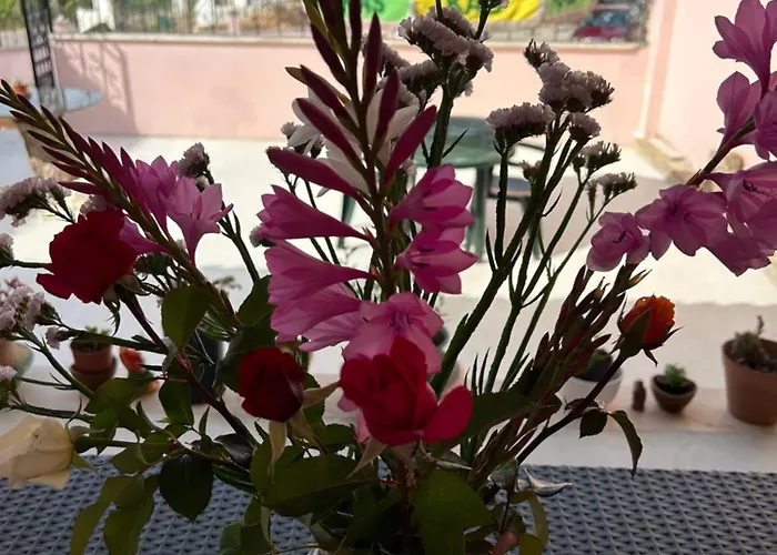 Mãe Story Caldas Da Rainha