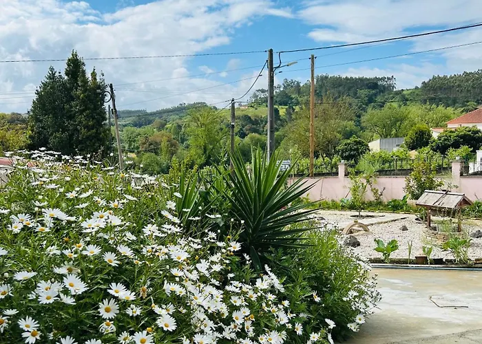 Mãe Story Caldas Da Rainha